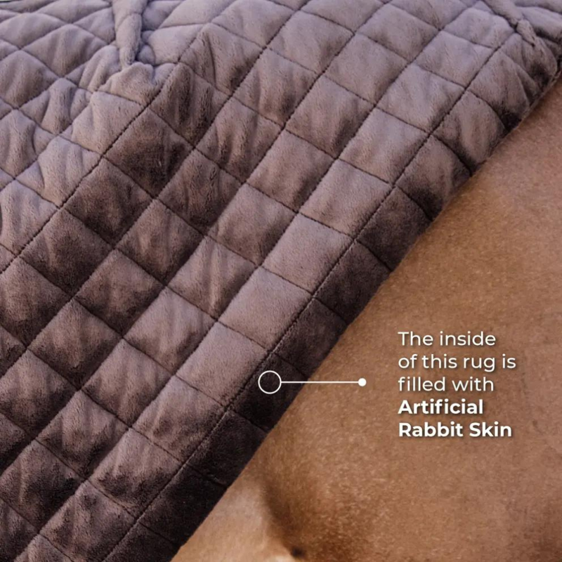 Kentucky Show Rug 160g Navy-3